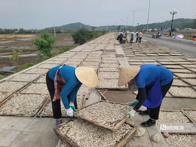 L&agrave;ng biển nổi tiếng xứ Thanh nhộn nhịp ng&agrave;y cận Tết- Ảnh 4.