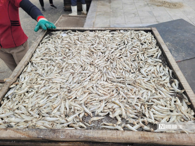 L&agrave;ng biển nổi tiếng xứ Thanh nhộn nhịp ng&agrave;y cận Tết- Ảnh 5.