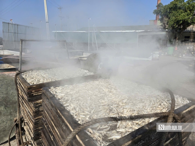 L&agrave;ng biển nổi tiếng xứ Thanh nhộn nhịp ng&agrave;y cận Tết- Ảnh 1.