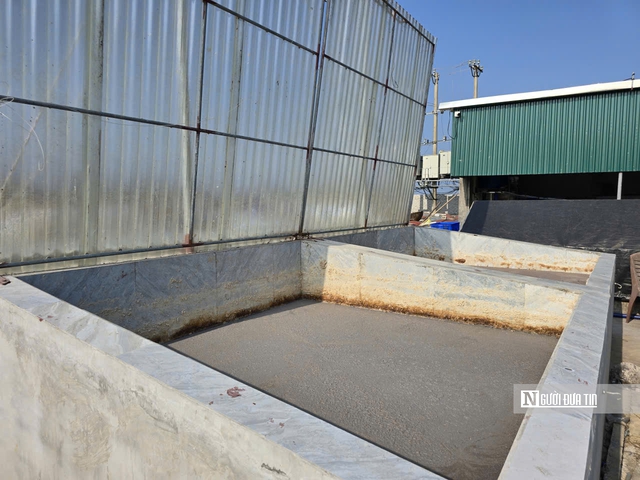 L&agrave;ng biển nổi tiếng xứ Thanh nhộn nhịp ng&agrave;y cận Tết- Ảnh 6.