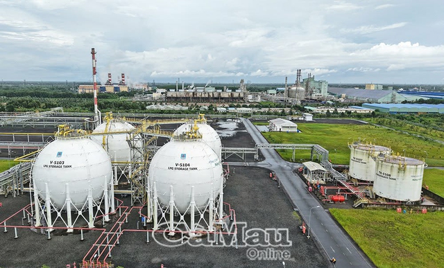 Động lực đưa C&agrave; Mau ph&aacute;t triển nhanh v&agrave; bền vững trong kỷ nguy&ecirc;n mới- Ảnh 4.