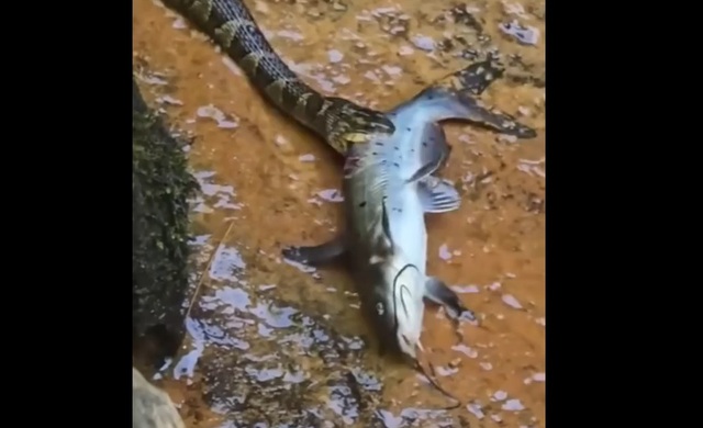 Đi c&acirc;u c&aacute;, người d&acirc;n sốc nặng khi thấy cảnh tượng trước mắt - Ảnh 1.