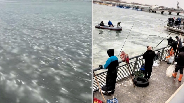 C&aacute; đ&oacute;ng băng tr&ecirc;n mặt nước, người d&acirc;n thi nhau ra bắt - Ảnh 1.