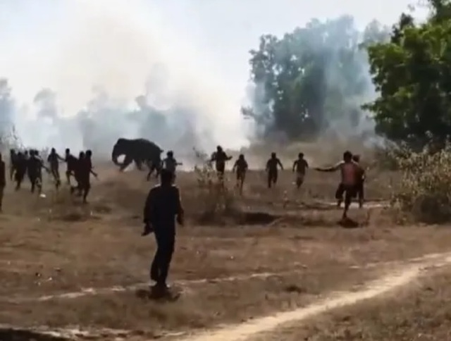 Voi dữ tấn c&ocirc;ng khiến 22 người tử vong, d&acirc;n l&agrave;ng hoảng sợ - Ảnh 1.