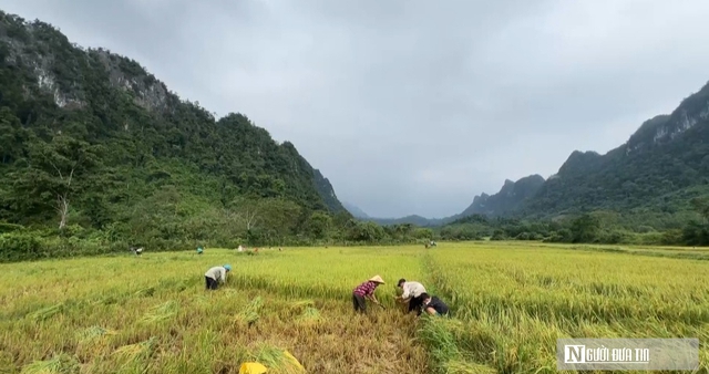 H&agrave;nh tr&igrave;nh hơn 65 năm bước ra từ hang đ&aacute; (1): Những đổi thay kỳ t&iacute;ch của người Rục - Ảnh 3.