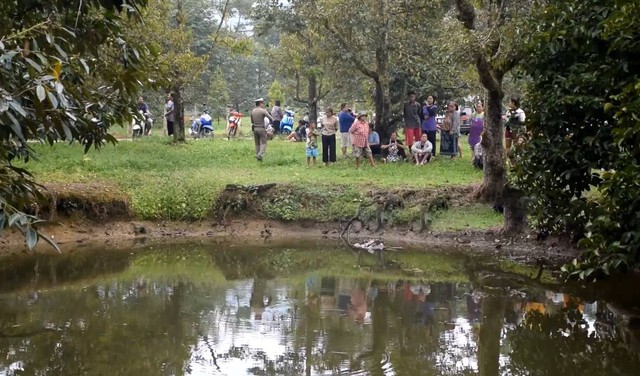 2 ch&uacute; ch&oacute; quyết kh&ocirc;ng rời khỏi bờ ao, gia đ&igrave;nh  - Ảnh 1.