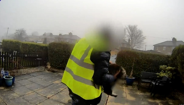 Đi giao h&agrave;ng, nam shipper trộm lu&ocirc;n m&egrave;o của kh&aacute;ch - Ảnh 1.