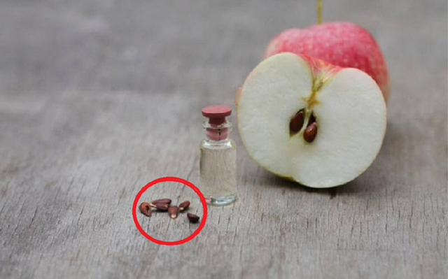 Loại quả chứa chất "kịch độc", nhất quả số 1 m&acirc;m cơm nh&agrave; n&agrave;o cũng c&oacute; - Ảnh 1.