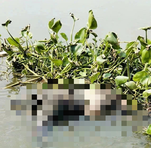 Sau cuộc gọi cho bố, nam thanh ni&ecirc;n 24 tuổi được ph&aacute;t hiện tử vong dưới s&ocirc;ng- Ảnh 1.