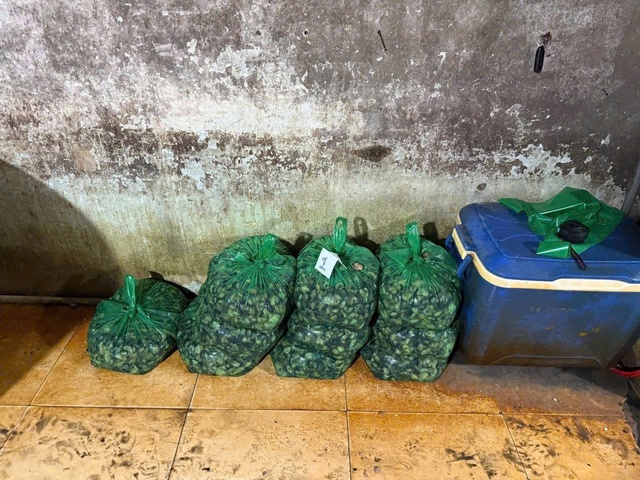 B&ecirc;n trong "xưởng" sử dụng 500 tấn ho&aacute; chất ng&acirc;m 3.000 tấn thịt ốc bươu- Ảnh 3.