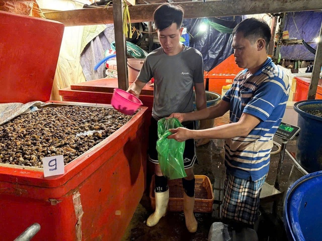 B&ecirc;n trong "xưởng" sử dụng 500 tấn ho&aacute; chất ng&acirc;m 3.000 tấn thịt ốc bươu- Ảnh 7.