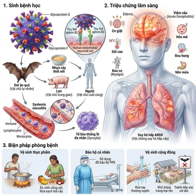 Virus Nipah cực nguy hiểm: Bộ Y tế khuyến c&aacute;o gọt vỏ tr&aacute;i c&acirc;y trước khi ăn - Ảnh 1.