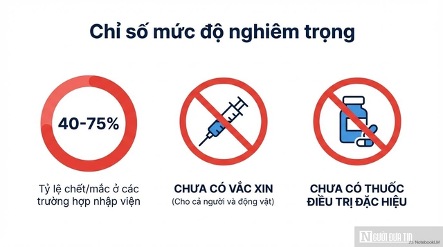 Đ&agrave; Nẵng siết gi&aacute;m s&aacute;t y tế trước nguy cơ virus Nipah x&acirc;m nhập dịp Tết- Ảnh 2.