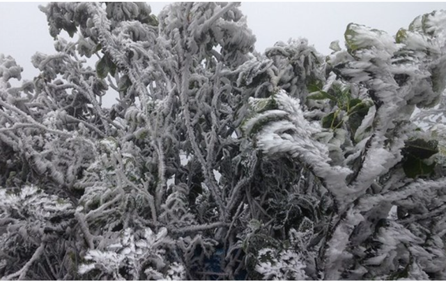 Dự báo thời tiết 1/2: Đợt không khí lạnh cực mạnh bao trùm khu vực miền Bắc, dự báo khi nào hết rét? - Ảnh 1.