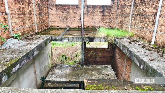 Trung tâm dạy nghề kiểu mẫu ở Quảng Ngãi bỏ hoang 11 năm, thanh tra chỉ ra nhiều sai phạm- Ảnh 4. Trung tâm dạy nghề kiểu mẫu ở Quảng Ngãi bỏ hoang 11 năm, thanh tra chỉ ra nhiều sai phạm- Ảnh 4.