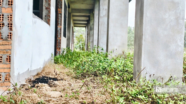 Trung tâm dạy nghề kiểu mẫu ở Quảng Ngãi bỏ hoang 11 năm, thanh tra chỉ ra nhiều sai phạm- Ảnh 14. Trung tâm dạy nghề kiểu mẫu ở Quảng Ngãi bỏ hoang 11 năm, thanh tra chỉ ra nhiều sai phạm- Ảnh 14.