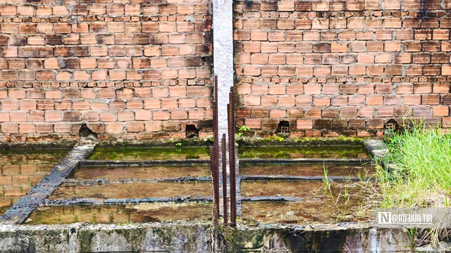 Trung tâm dạy nghề kiểu mẫu ở Quảng Ngãi bỏ hoang 11 năm, thanh tra chỉ ra nhiều sai phạm- Ảnh 15. Trung tâm dạy nghề kiểu mẫu ở Quảng Ngãi bỏ hoang 11 năm, thanh tra chỉ ra nhiều sai phạm- Ảnh 15.