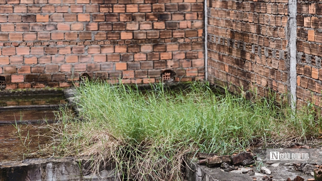 Trung tâm dạy nghề kiểu mẫu ở Quảng Ngãi bỏ hoang 11 năm, thanh tra chỉ ra nhiều sai phạm- Ảnh 16. Trung tâm dạy nghề kiểu mẫu ở Quảng Ngãi bỏ hoang 11 năm, thanh tra chỉ ra nhiều sai phạm- Ảnh 16.