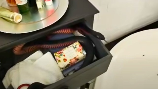 Cụ b&agrave; sợ h&atilde;i khi ph&aacute;t hiện thứ đ&aacute;ng sợ b&ograve; v&agrave;o ph&ograve;ng tắm - Ảnh 1.