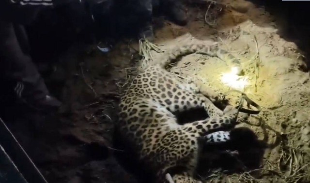 B&aacute;o tấn c&ocirc;ng người đ&agrave;n &ocirc;ng, cả hai rơi xuống giếng tử vong - Ảnh 1.