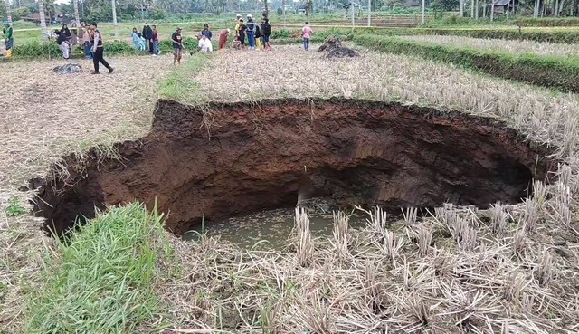 Ruộng l&uacute;a bất ngờ xuất hiện hố sụt s&acirc;u 5,7 m&eacute;t, d&acirc;n đổ x&ocirc; đến xem- Ảnh 1.