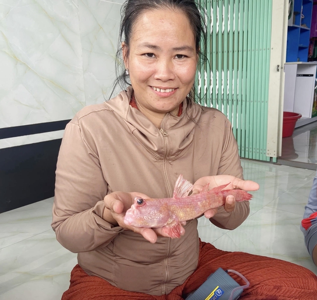 Loại c&aacute; th&ograve;i l&ograve;i m&agrave;u hồng hiếm gặp được người d&acirc;n Đất Mũi ph&aacute;t hiện - Ảnh 2.