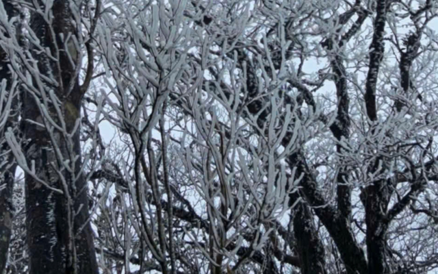 Dự b&aacute;o thời tiết 9/1: Miền Bắc kh&ocirc;ng kh&iacute; lạnh cực mạnh, dự b&aacute;o nơi r&eacute;t đậm nhất - Ảnh 1.