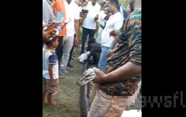 Đang l&agrave;m việc, người phụ nữ hoảng sợ thấy cảnh tượng "nổi da g&agrave;" trước mặt - Ảnh 1.