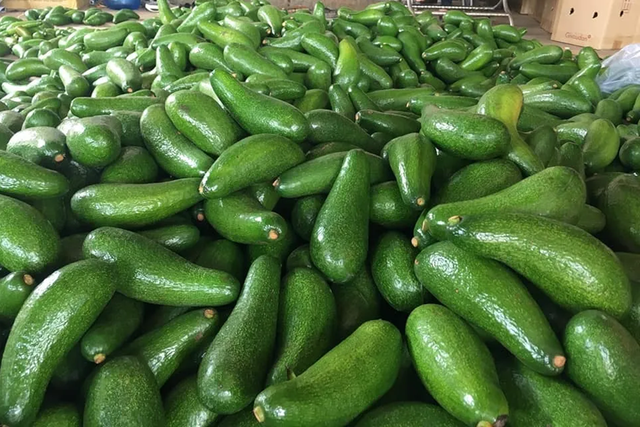 Loại quả “tốt nhất thế giới”, ở Việt Nam trồng bạt ngàn mà giá cực rẻ - Ảnh 3.