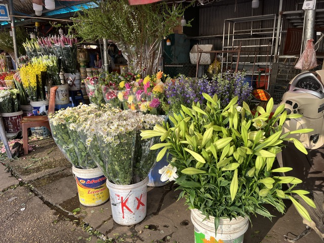 H&agrave; Nội: Thị trường hoa Tết nhộn nhịp, nguồn cung dồi d&agrave;o- Ảnh 7.