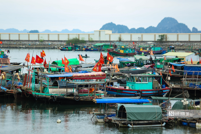 Xuất khẩu thủy sản sang Anh sắp có thêm yêu cầu về hồ sơ IUU - Ảnh 2.