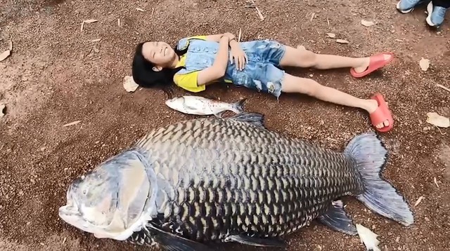 Người dân bắt được con cá chép khổng lồ nặng 100kg trên sông - Ảnh 1.