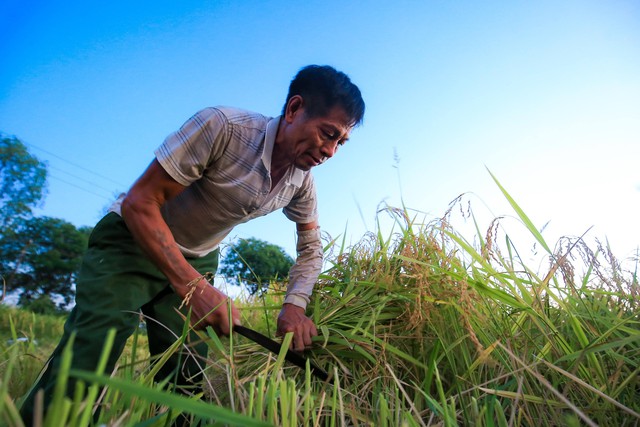 Chủ tịch H&agrave; Nội: Kh&ocirc;ng để người n&ocirc;ng d&acirc;n bị bỏ lại ph&iacute;a sau trong qu&aacute; tr&igrave;nh đ&ocirc; thị h&oacute;a- Ảnh 2.