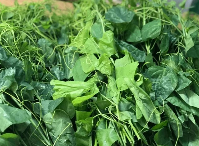 Loại rau dại c&oacute; t&ecirc;n "bốc m&ugrave;i" nhưng l&agrave; vị thuốc hỗ trợ ti&ecirc;u h&oacute;a v&agrave; giải độc - Ảnh 2.
