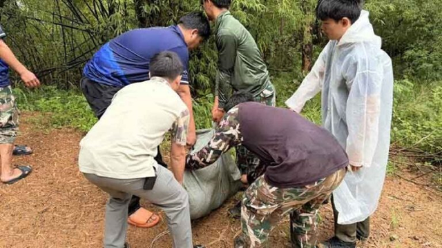 Người d&acirc;n ghi lại cảnh tượng "nổi da g&agrave;" ngo&agrave;i vườn- Ảnh 3.