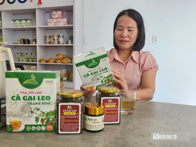 Đánh thức vùng gò đồi, cho doanh thu 10 tỷ mỗi năm nhờ trồng cây dược liệu- Ảnh 1.
