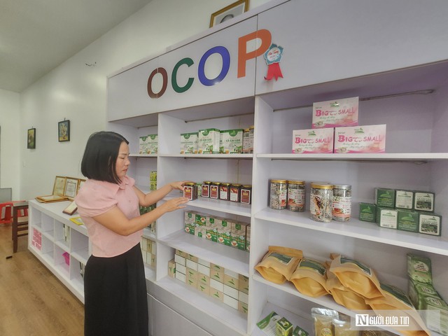 Đánh thức vùng gò đồi, cho doanh thu 10 tỷ mỗi năm nhờ trồng cây dược liệu- Ảnh 4.
