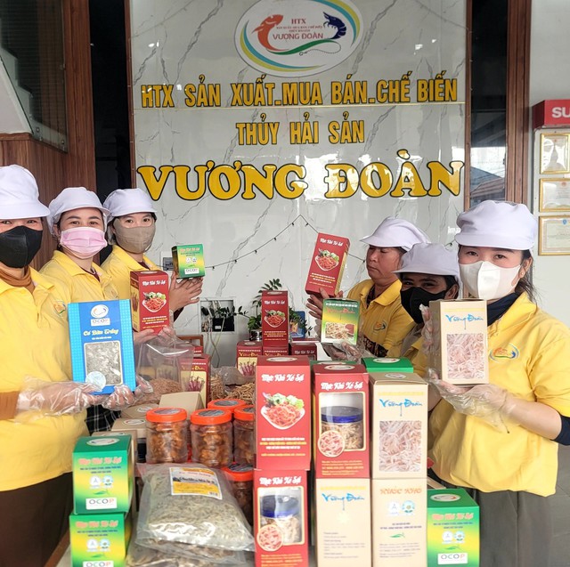 Quảng Trị: Đầu tư công nghệ, một HTX đạt doanh thu gần 20 tỷ đồng/năm- Ảnh 1.
