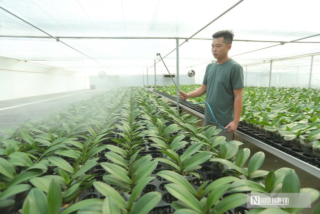 Tìm hướng đi mới, nâng cao giá trị nông sản Thanh Hóa- Ảnh 2.