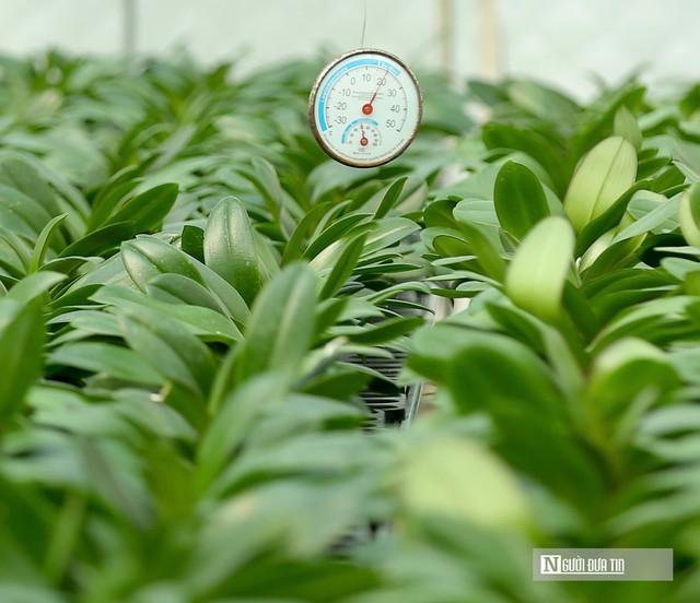 Tìm hướng đi mới, nâng cao giá trị nông sản Thanh Hóa- Ảnh 3.