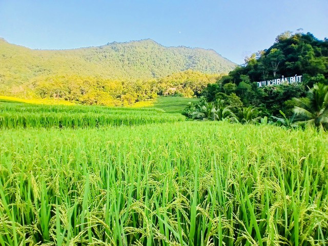 Đưa nghề dệt thổ cẩm vào du lịch, mở hướng thoát nghèo cho người vùng cao- Ảnh 2.