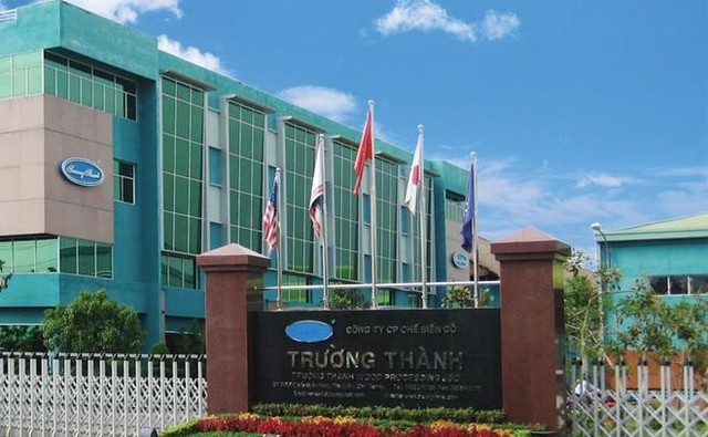 Gỗ Trường Thành (TTF) đứng trước nguy cơ bị hủy niêm yết nếu kiểm toán tiếp tục từ chối cho ý kiến- Ảnh 1.