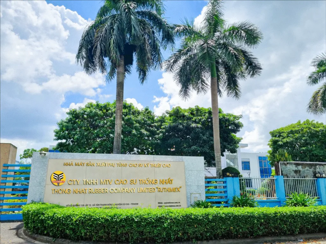 Giá mủ cao su tăng, Cao su Thống Nhất lãi đậm - Ảnh 1.
