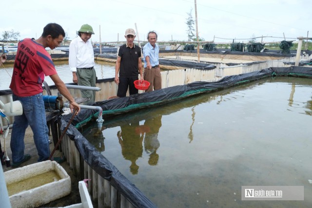 Quảng Trị: Biển xâm thực nghiêm trọng đe dọa đê kè và đời sống người dân- Ảnh 2.