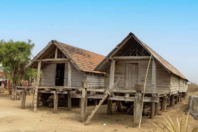 Rau dớn và... nhà rông - Ảnh 4.