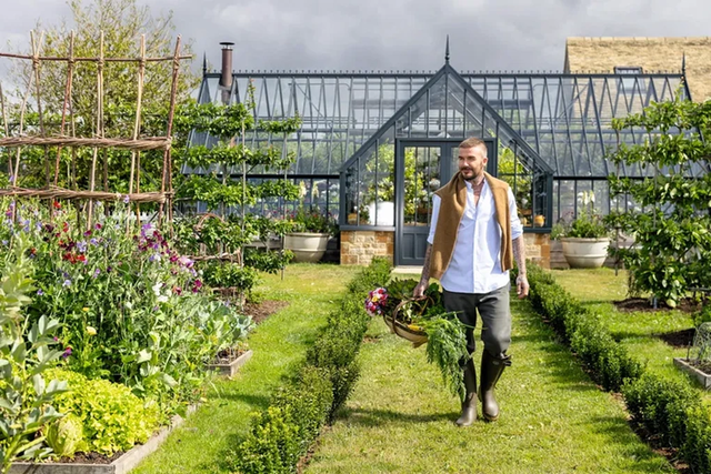 Cầu thủ David Beckham "bỏ phố về quê" trồng rau nuôi gà - Ảnh 1.