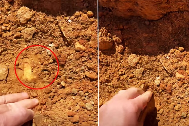 Người đàn ông đào được cục vàng nặng 1,2kg, trị giá khoảng 4,1 tỷ đồng - Ảnh 2.