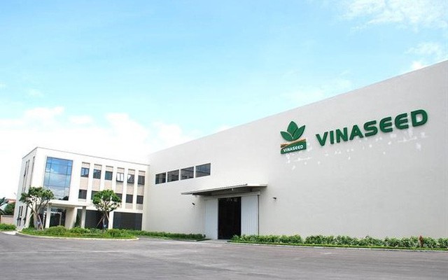 Lợi nhuận qu&yacute; III giảm gần một nửa, thu nhập l&atilde;nh đạo Vinaseed thụt l&ugrave;i - Ảnh 1.