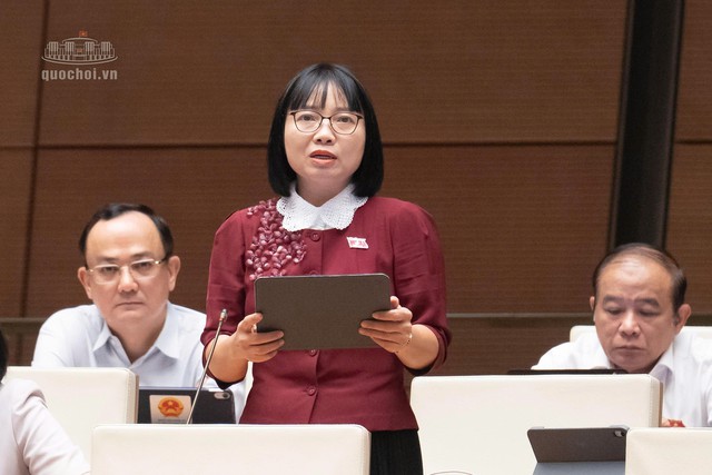 ĐBQH: Cụ thể hoá nơi ở mới "bằng hoặc tốt hơn nơi ở cũ" bằng tiêu chuẩn có thể kiểm chứng - Ảnh 3.