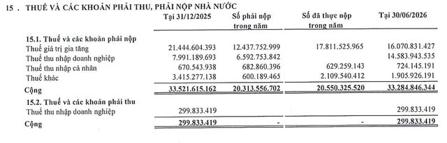Khoản tiền 560 tỷ đồng phải thu từ lãnh đạo và người có liên quan của Đông Tây Land- Ảnh 3.